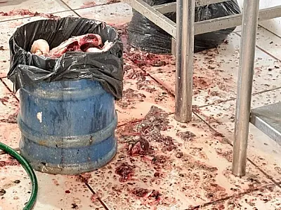 Três toneladas de peixe impróprio levam à interdição de peixaria em Campo Grande