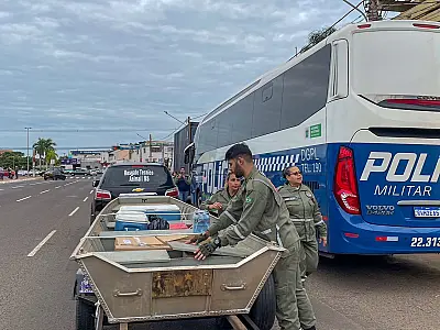 MS se mobiliza para resgatar animais atingidos por enchentes no RS