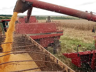 Impulsionadas pelo agro, recuperações judiciais crescem 13% e atingem recorde em 2025