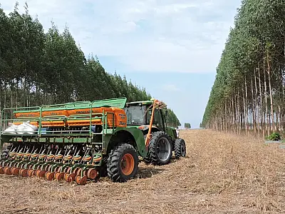 Com alta da Selic, crédito rural com taxas de juros menores é oferecido a produtores
