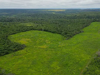 BNDES destina R$ 250 milhões para restaurar áreas degradadas em MS e outros cinco estados