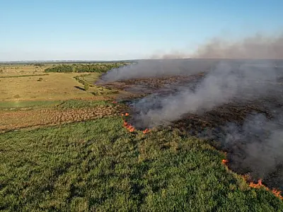 Pantanal enfrenta crescente ameaça de incêndios e seca recorde no Rio Paraguai