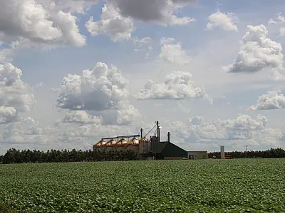 Valor da Produção Agropecuária de MS cresce 23,6% e alcança R$ 76,3 bilhões em 2025