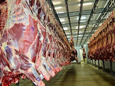 Mato Grosso do Sul reforça posição como exportador de carne bovina em 2024