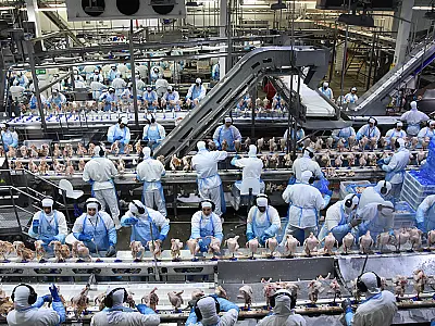 Exportações de produtos industriais de MS alcançaram em outubro US$ 710,6 milhões