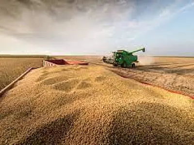 Produção de soja dobra em 10 anos, impulsionando o crescimento econômico de Mato Grosso do Sul