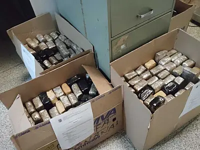 Polícia Militar apreende 700 Kg de maconha em Dourados após denúncia de maus-tratos a animais