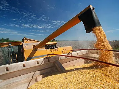 Exportações de MS se mantêm fortes apesar da queda na produção de grãos