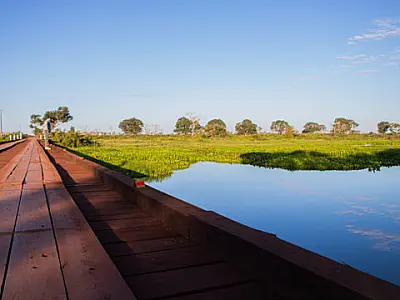 Governo de MS cria comitê para preservação ambiental na Estrada Parque do Pantanal