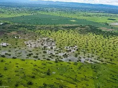 Suspensão de licenças de desmatamento no Pantanal atinge também processos em avaliação no Imasul