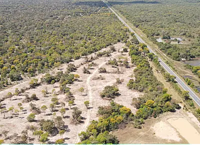 Pantanal registra queda histórica no desmatamento e fecha 2025 com terceiro menor índice já medido
