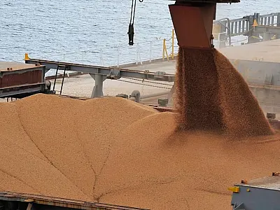 Greve na Argentina impulsiona demanda por soja brasileira