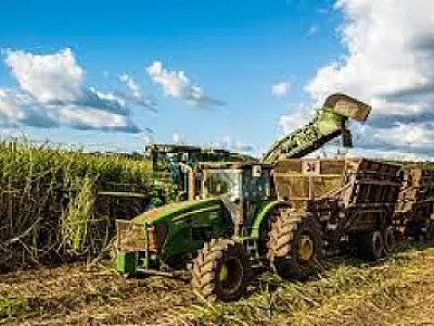 Cana moída em Mato Grosso do Sul ultrapassa 43 milhões de toneladas