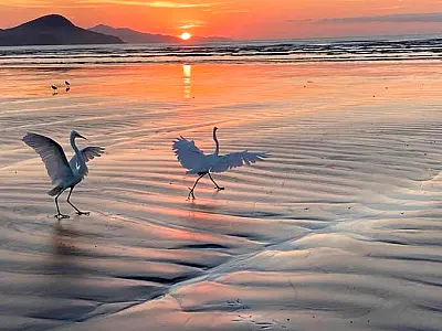 Vida e Espiritualidade 5