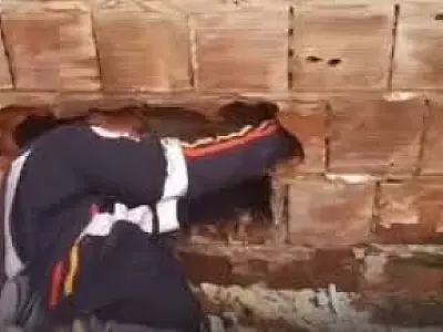 Recém-nascido é encontrado entre muros de casas após moradores ouvirem choro