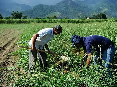 Governo lança Programa de Financiamento Verde com taxa de juros de 1% ao ano