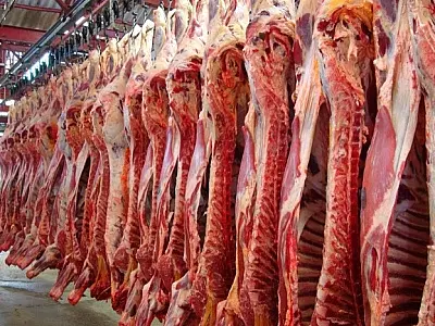 Expansão das exportações de carne bovina impulsiona economia de Mato Grosso do Sul