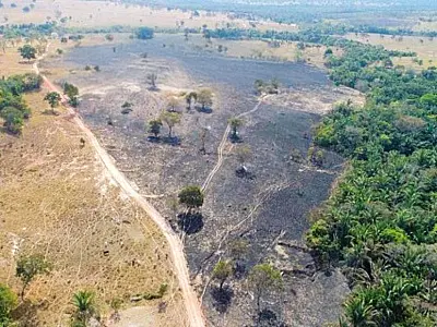 Incêndio devasta 160 hectares em Coxim e vira alvo de investigação