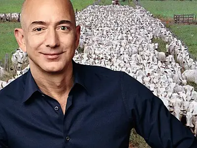 Dono da Amazon investe em práticas sustentáveis e eficientes no setor agropecuário nacional