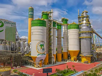 Incra mantém anulação da venda da Eldorado Celulose à Paper Excellence
