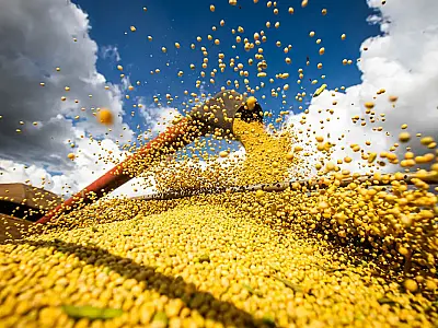 Brasil estima colheita de 354,8 milhões de toneladas de grãos