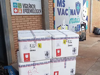 MS estende vacinação contra dengue para crianças de 6 a 16 anos