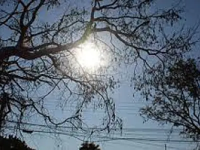 Sábado em Mato Grosso do Sul com temperaturas acima da média