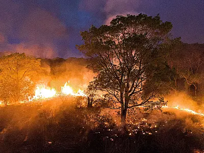 Governo de MS decreta emergência ambiental por 180 dias diante de risco de super El Niño