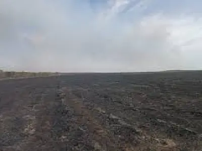 Fazendeiro é multado em quase R$ 5 milhões após incêndio em colheita de cana em MS