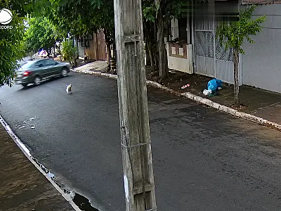 Criança de 7 anos escapa de tentativa de sequestro após abordagem de motorista seminu em Porto Alegre