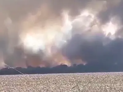 Incêndio de grandes proporções em São Gabriel do Oeste faz produtores rurais pedirem socorro