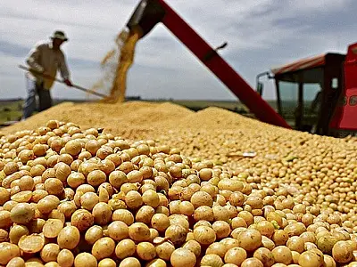 Lei que pune participantes da Moratória da Soja volta a valer em MT