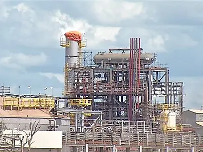 Riedel pede atenção de Lula para retomada da fábrica de fertilizantes em visita presidencial em MS