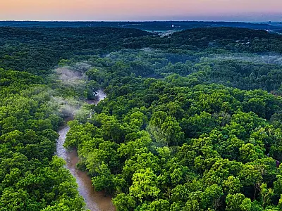 Brasil vai propor integração mundial dos mercados de carbono na COP 30