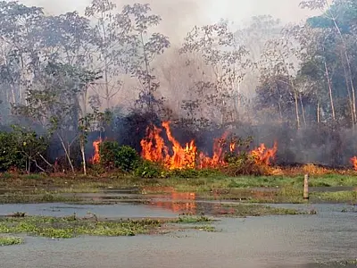 Governo de MS suspende queima controlada para evitar agravamento da seca e incêndios