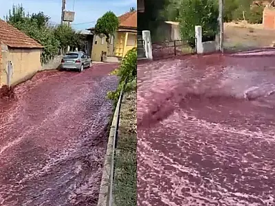 Inundação de vinho tinto: o curioso evento em Anadia, Portugal