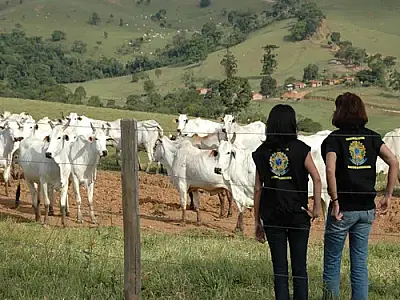 Auditores Agropecuários renunciam em massa contra Portaria governamental