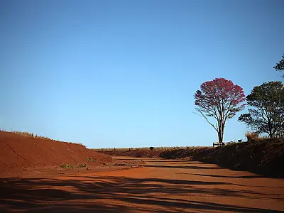 Fim de semana em Mato Grosso do Sul terá temperaturas próximas de 40°C e baixa umidade do ar