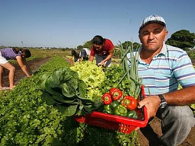 AgroAmigo: novo microcrédito fortalece agricultores familiares e impulsiona produção no campo