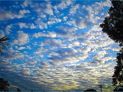 Semana será de sol, ar seco e temperaturas amenas em MS