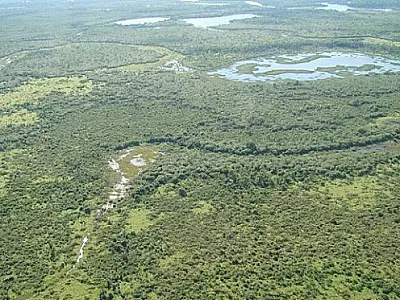 Tremor de terra de magnitude 4,5 é registrado no Pantanal de MS