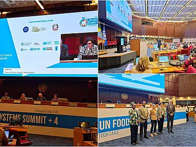 Brasil celebra saída do Mapa da Fome e destaca políticas urbanas de alimentação
