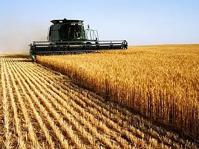 Acordo Mercosul-União Europeia: Quais serão os impactos do agronegócio brasileiro?