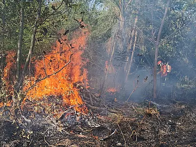 Estado de emergência em Mato Grosso do Sul: Combate intensivo aos incêndios no Pantanal