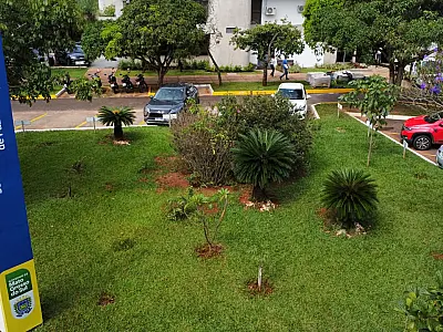 Mato Grosso do Sul alcança novo recorde de arrecadação em meio ao cenário econômico favorável