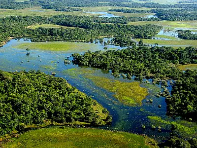 Lei do Pantanal: Estado de Mato Grosso do Sul se prepara para votar em regime de urgência