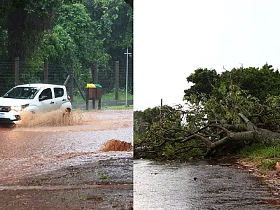 Campo Grande é atingida por fortes chuvas e ventos de 68 km/h