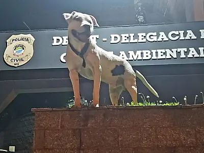 Vendedor é detido após negligência com animais resultar em tragédia
