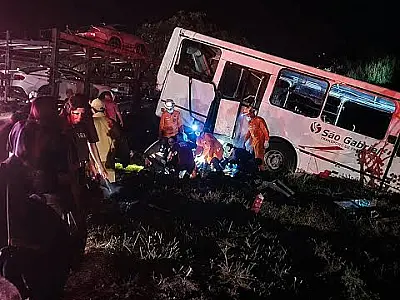 Ônibus com trabalhadores e carreta cegonha colidem na BR-163; ao menos 25 ficam feridos em MS
