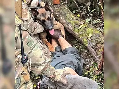 Brasileiro é capturado pela polícia da Pensilvânia graças à intervenção de um cão policial